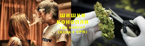тгк Пестово