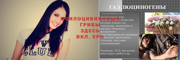 mdpv Переславль-Залесский
