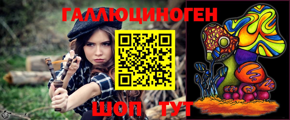 Галлюциногенные грибы Psilocybine cubensis Волжск