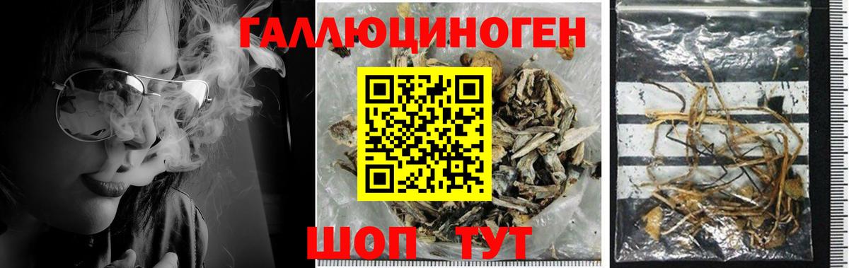 купить  цена  Галлюциногенные грибы Psilocybe  Волжск  Вход с VPN  Псилоцибиновые грибы MAGIC MUSHROOMS 