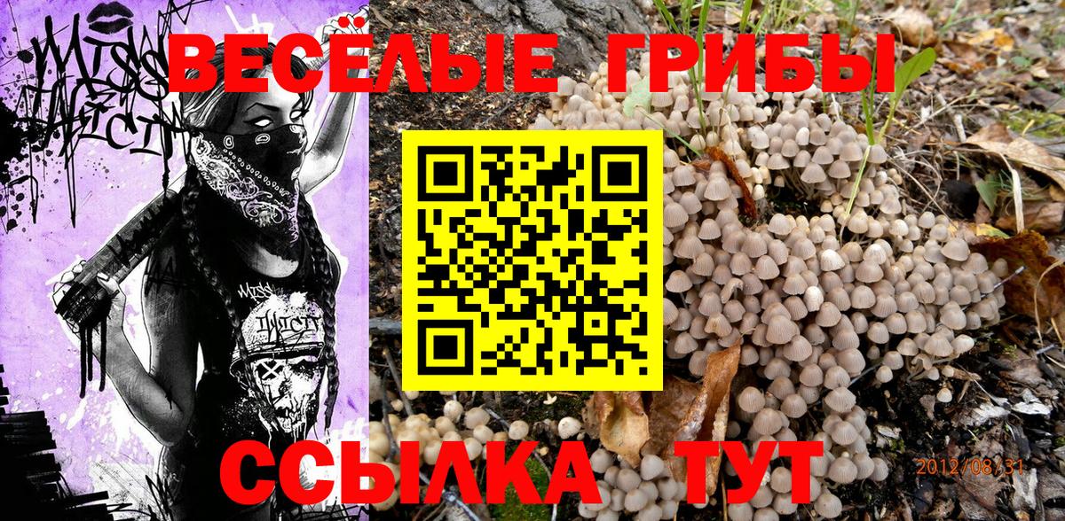Галлюциногенные грибы GOLDEN TEACHER  Волжск  Псилоцибиновые грибы Psilocybe 